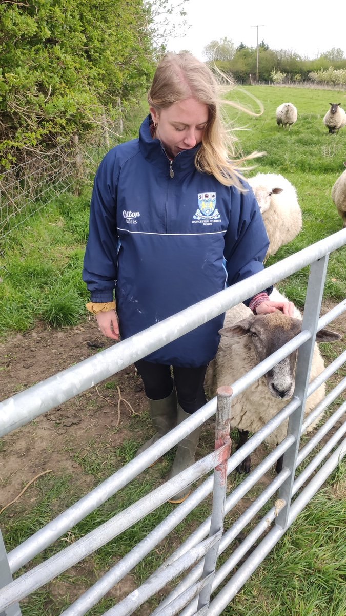 Chris__Ralph's tweet photo. What a wholesome bank holiday weekend spent at home.
✅ Collected yummy veg
✅ New brakes fitted to car
✅ Made yummy scones
✅ Field ready for lambs
@DaisyHeathAbbot
#lockdown #StaySafeStayHome #SocialDistancing https://t.co/CA4R3kXKga