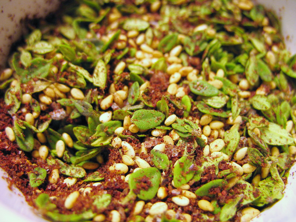 Za'atar aka EzobEzob is the Hebrew word for "hyssop", a spice that was used in ancient Israel as both a condiment and ritual purification agent. Other popular Middle Eastern spices - including thyme, coriander, and saffron - are likewise attested to by Biblical scholars.