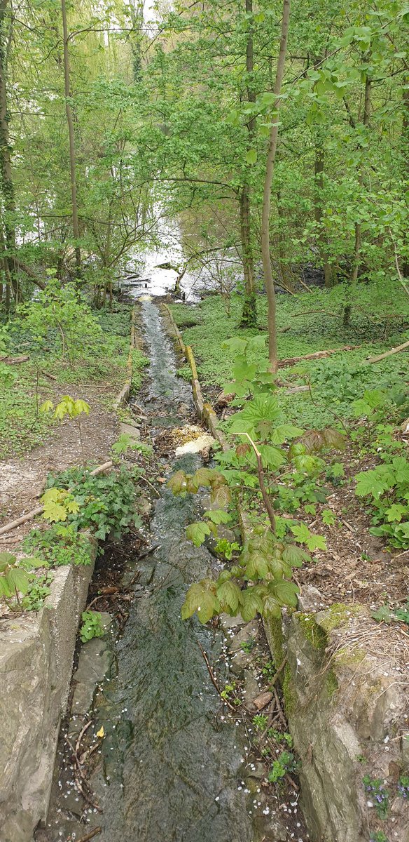 John De berg. (@19john55) on Twitter photo <a href="/magnifiekZL/">Magnifiek Zuid-Limburg</a> wandelen rond om abdy rolduc kerkrade blyft heerlijk vertoeven 👍🥀🌻 <a href="/magnifiekZL/">Magnifiek Zuid-Limburg</a> wandelen rond om abdy rolduc kerkrade blyft heerlijk vertoeven 👍🥀🌻