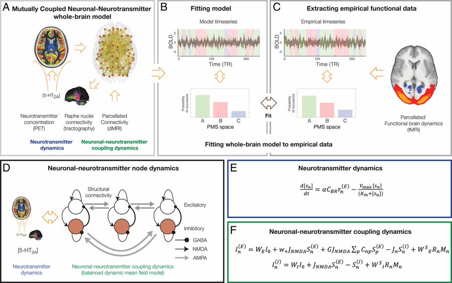 OxPsychiatry's tweet photo. NEW paper Dynamic coupling of whole-brain neuronal and neurotransmitter systems - #wholebrainmodelling #Psilocybin published @PNASNews https://t.co/CK9bMKJkms  @HedoniaResearch @OxfordMedSci @UniofOxford @Mental_Elf https://t.co/q3GfLXtY5T
