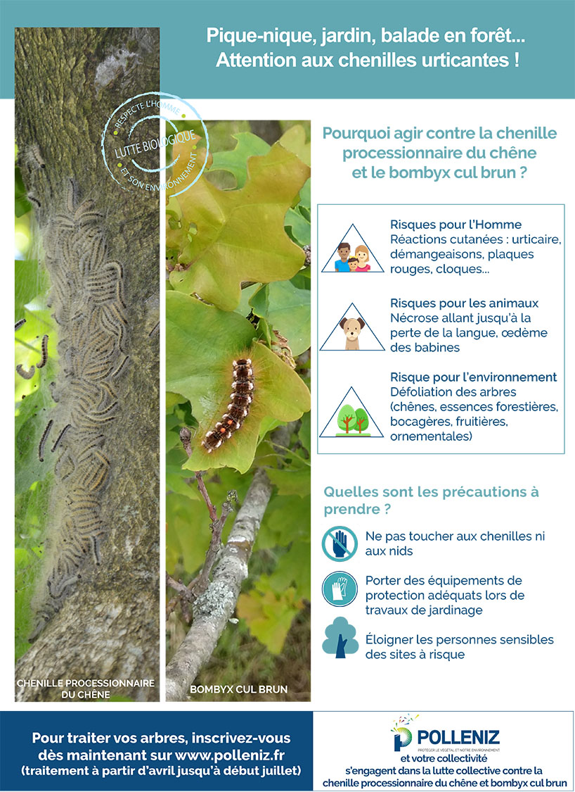 VChateaubriant's tweet photo. Toute personne étant intéressée par une opération de #lutte biologique contre la #chenille #processionnaire du chêne et du bombyx cul brun, est priée de s’inscrire en ligne via un formulaire sur : https://t.co/Ha8lYYr6Dw 
Plus d'infos 👉 https://t.co/sVAiKuyHjW https://t.co/sLB9NCjtQy