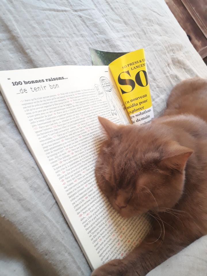 amandechap's tweet image. Dans le dernier @SocietyOfficiel 100 bonnes raisons de tenir bon (jusqu&apos;au #11mai donc) et si ça ne suffit pas, ils offrent le câlin en sus 😻 Hâte de recevoir le numéro de ce jeudi ! @FranckAnnese #Society #confinement #COVIDー19