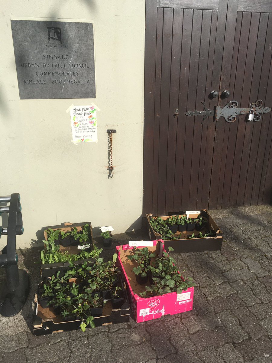 kinsalegp's tweet photo. Lovely surprise this morning outside Temperance Hall - Thank you to students of @kinsalecollege #AllInThisTogether #greatcommunityspirit https://t.co/zvo5hFEEFa