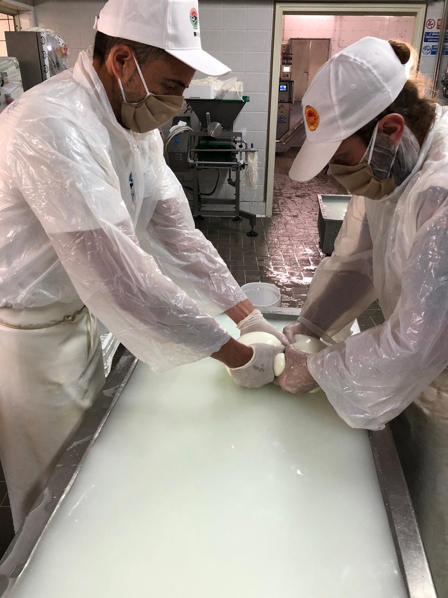 mozzarella_dop's tweet photo. La Pasqua è passata, ma la produzione della nostra #mozzarella di Bufala Campana DOP continua con la stessa attenzione di prima,rispettando le norme e garantendo tutte le misure di sicurezza: ecco come si lavora nei caseifici ai tempi del COVID-19 📷😷
Buon lavoro!
#MozzarellaDOP https://t.co/nlFVffJzUY
