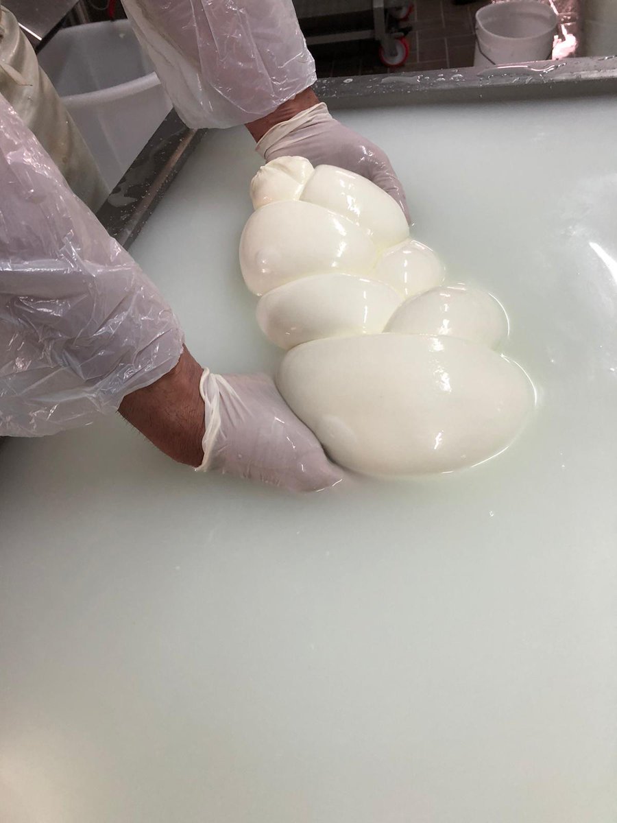 La Pasqua è passata, ma la produzione della nostra #mozzarella di Bufala Campana DOP continua con la stessa attenzione di prima,rispettando le norme e garantendo tutte le misure di sicurezza: ecco come si lavora nei caseifici ai tempi del COVID-19 📷😷
Buon lavoro!
#MozzarellaDOP