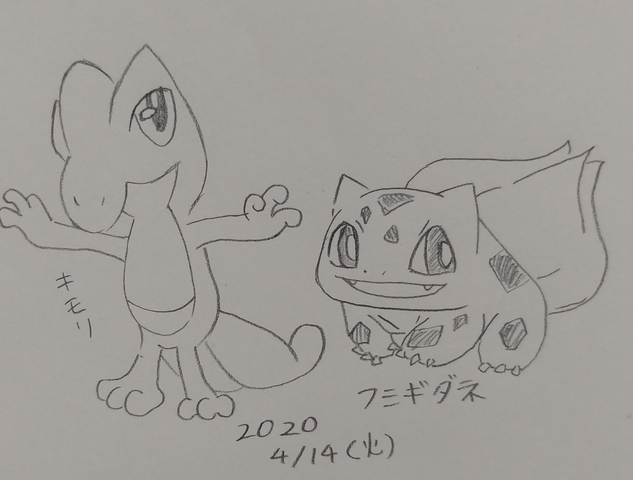 レオン キモリとフシギダネ レオンの毎日1枚イラスト T Co Eg8ekgsxul Twitter