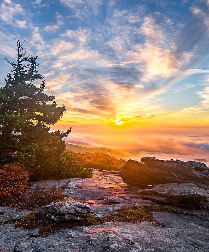 The Art Of Versatility tweet media