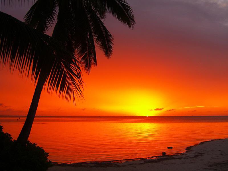 The Art Of Versatility tweet media