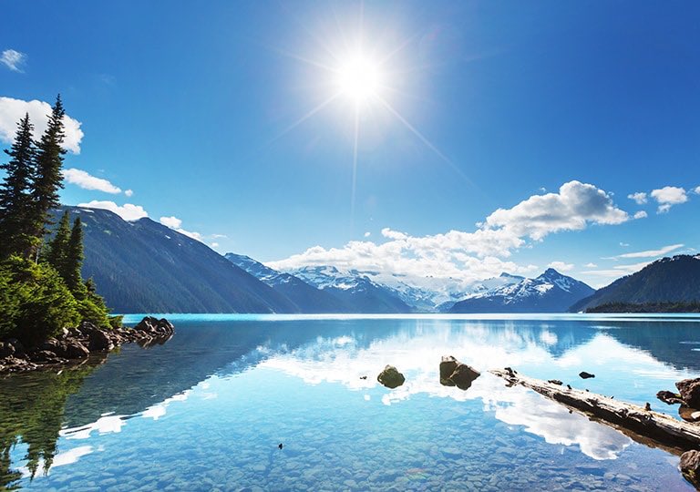 The Art Of Versatility tweet media