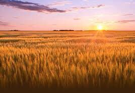 The Art Of Versatility tweet media