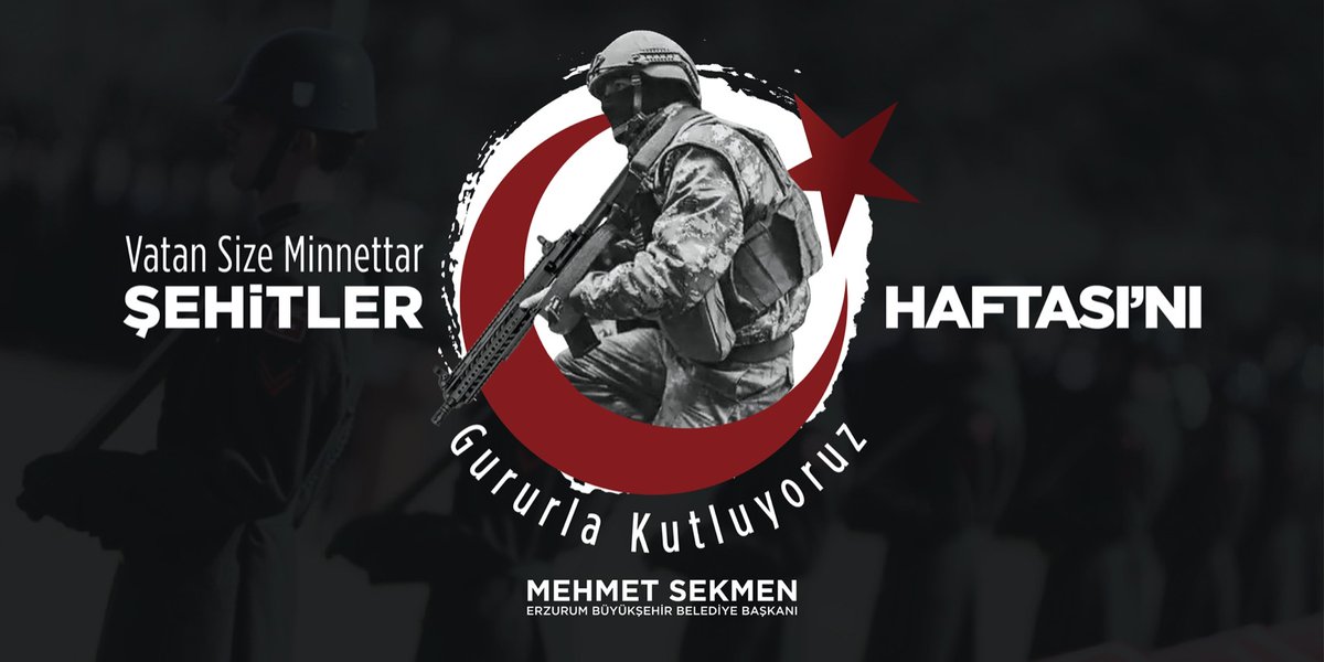 Mehmet Sekmen