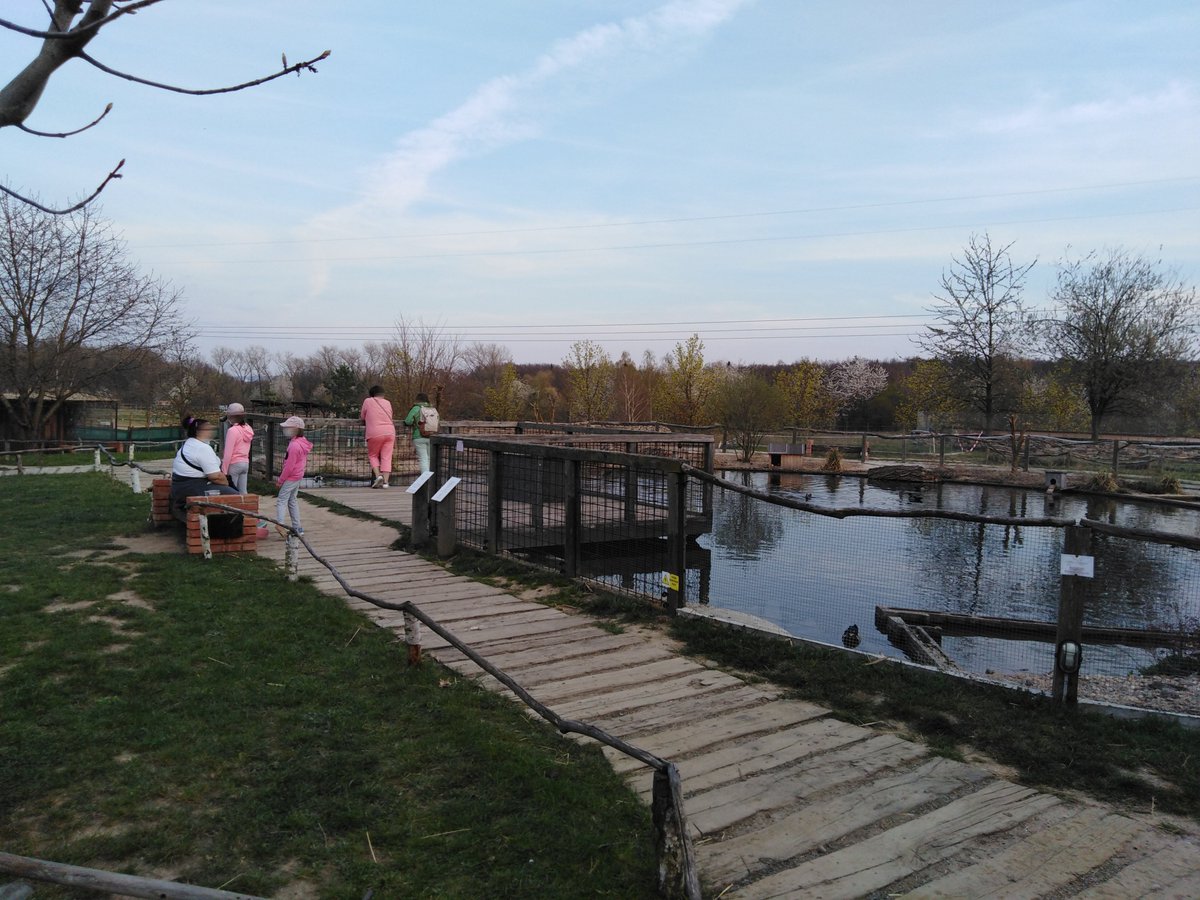 vyletysdetmi's tweet photo. Na okraji Jižního Města a Milíčovského lesa naleznete Zoopark Milíčov s domácími zvířaty. K vidění jsou zde ovce, krávy, nejrůznější ptactvo a další jiná zvířata.

https://t.co/wB4I1x7YGw
#zoopark #zooparkmilicov https://t.co/lWI7kJYOGB