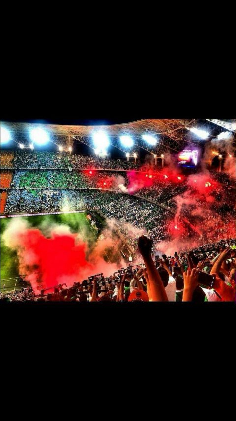 بالله ماوحشكم العشق