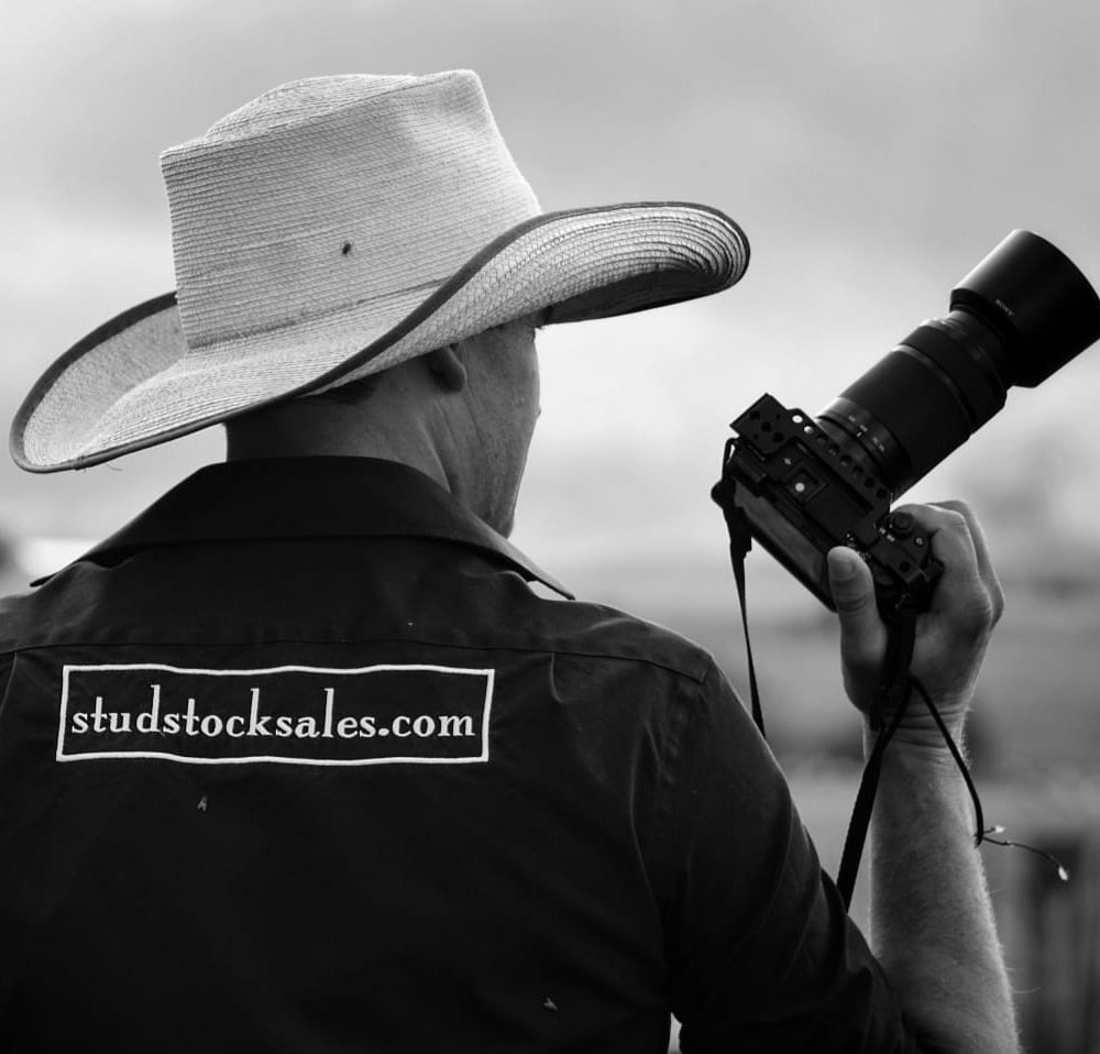 #studstocksales #justdifferent #youcantsellasecret