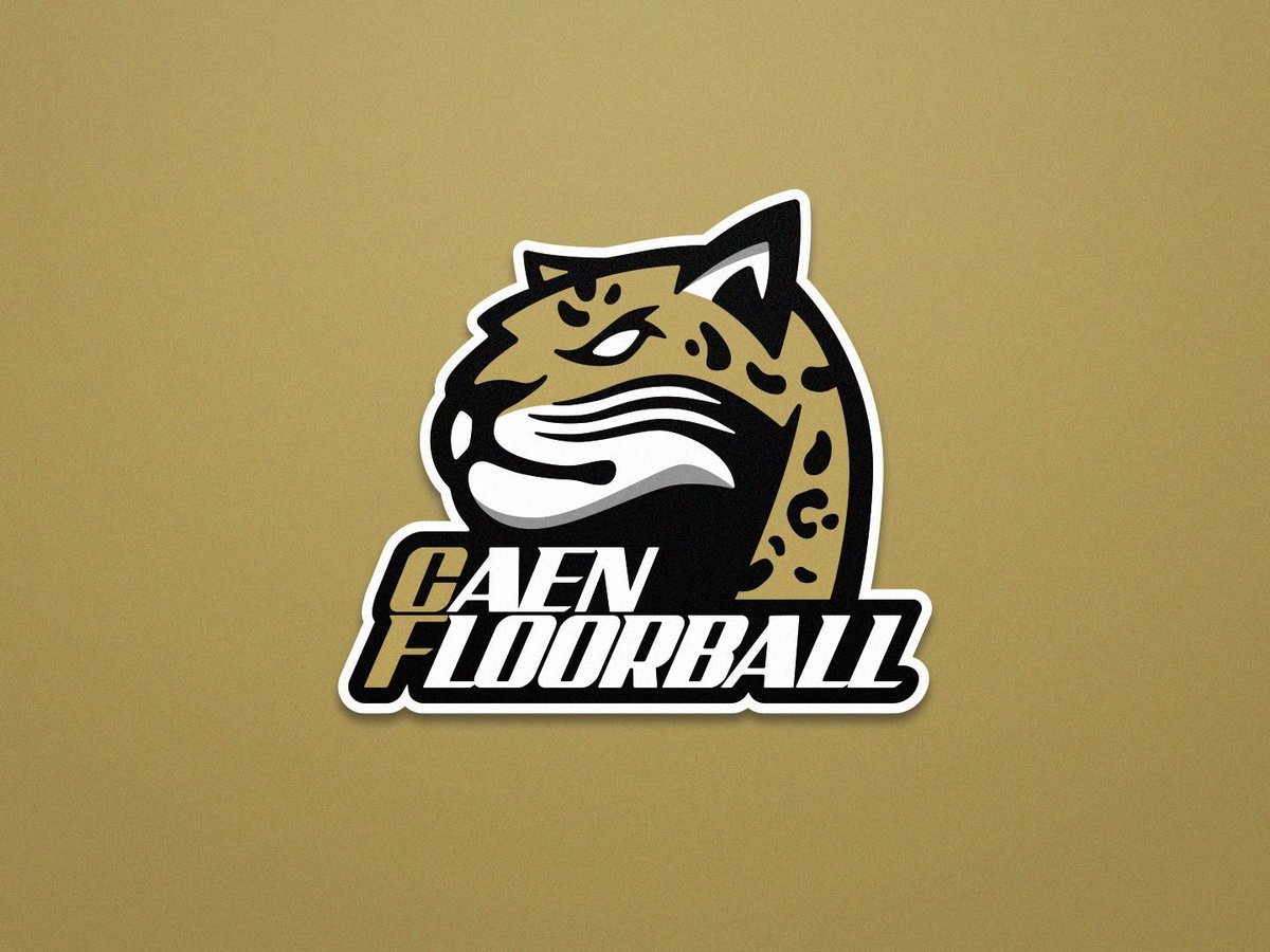 Caen Floorball tweet media