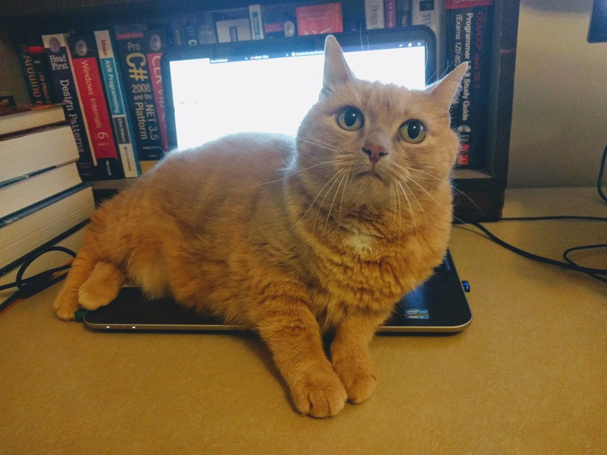 It’s difficult to watch #GMIDGoesVirtual when Momma Kitty decides to take over my lap top! #GMID2020