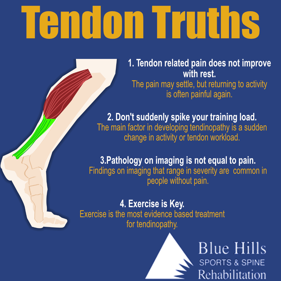 BlueHillsPT's tweet photo. Exercise is key for the treatment of tendinopathies. https://t.co/SlLYbvmni2