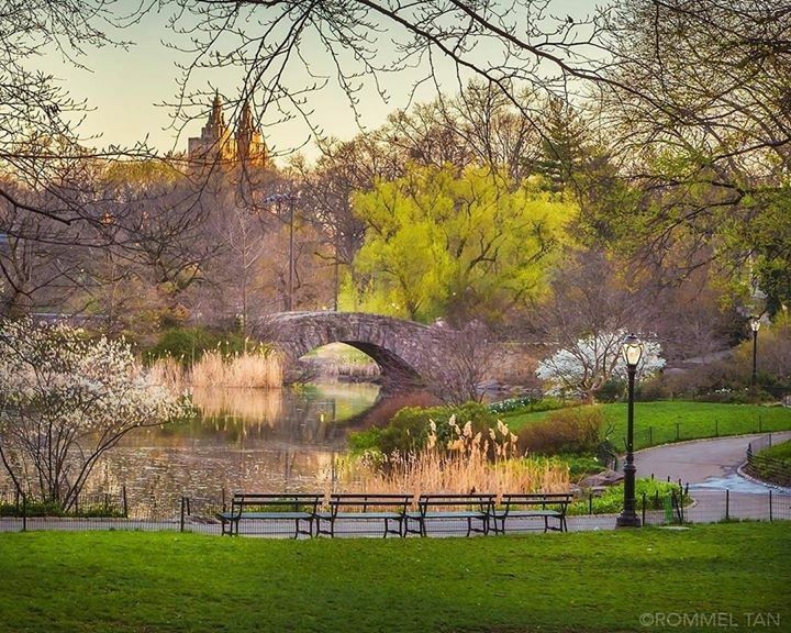 nycfeelings's tweet photo. Central Park, NYC 📷 Rommel Tan @rtanphoto https://t.co/0AzBwwQe1W