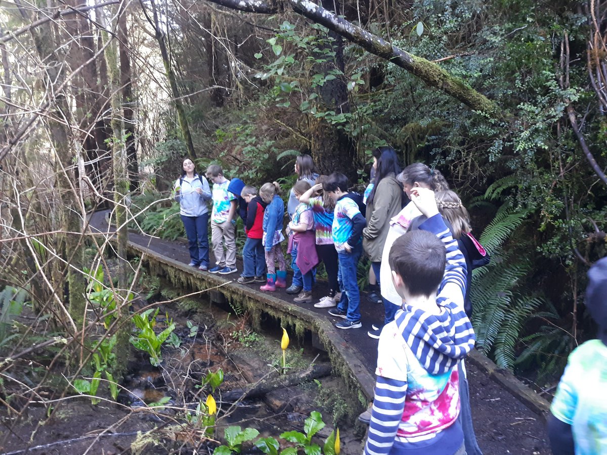 News from the Oregon Coast: Reedsport Third Graders Learn About Watersheds through Meaningful Field Experiences bit.ly/2yV7y28

#MWEEsbytheSea #MWEE
