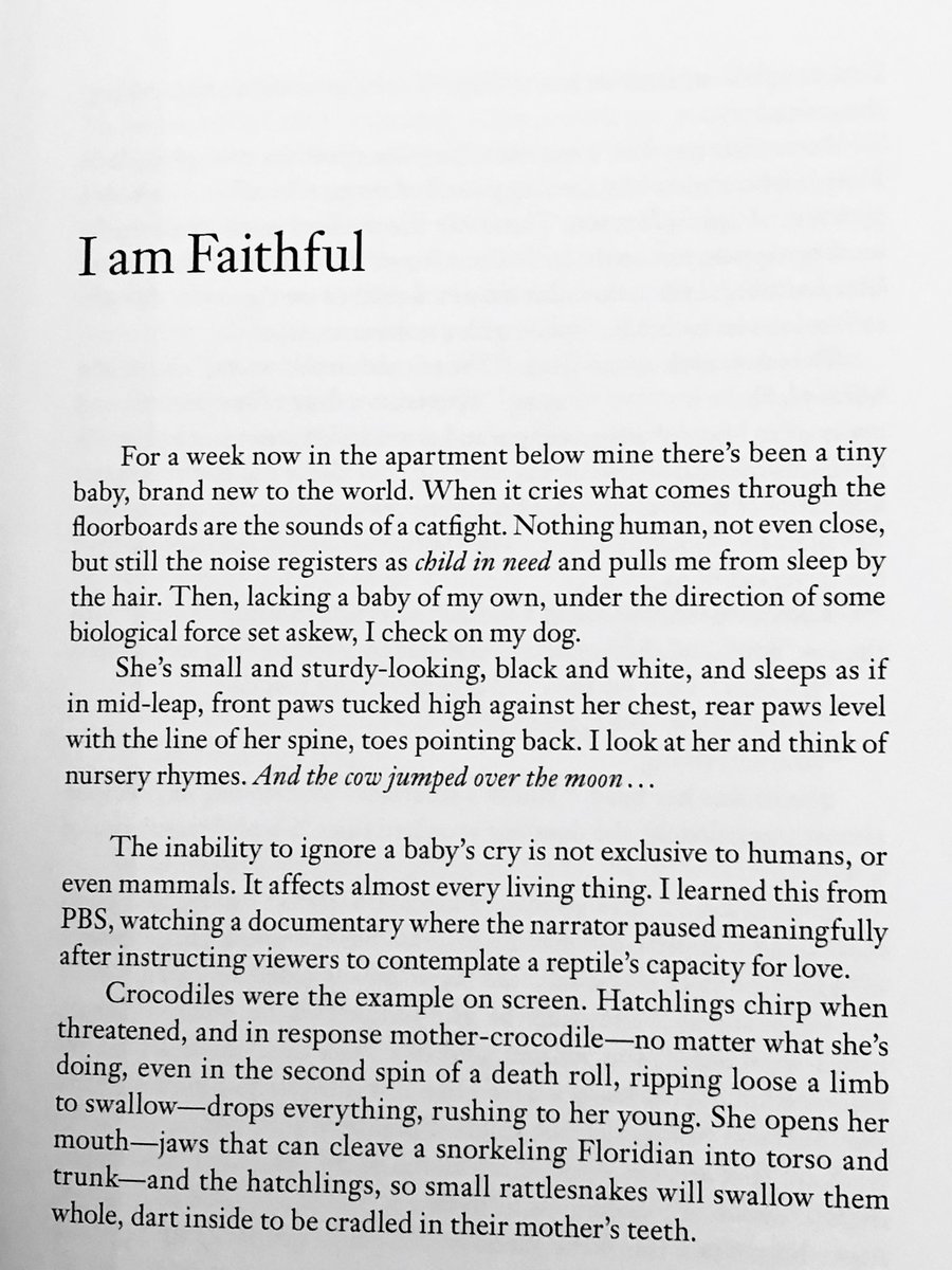 4/14/2020: "I Am Faithful" by  @jenny___irish, the title story of her 2019 collection from  @BlackLawrence. Available online at  @Colorado_Review:  https://coloradoreview.colostate.edu/features/i-am-faithful/