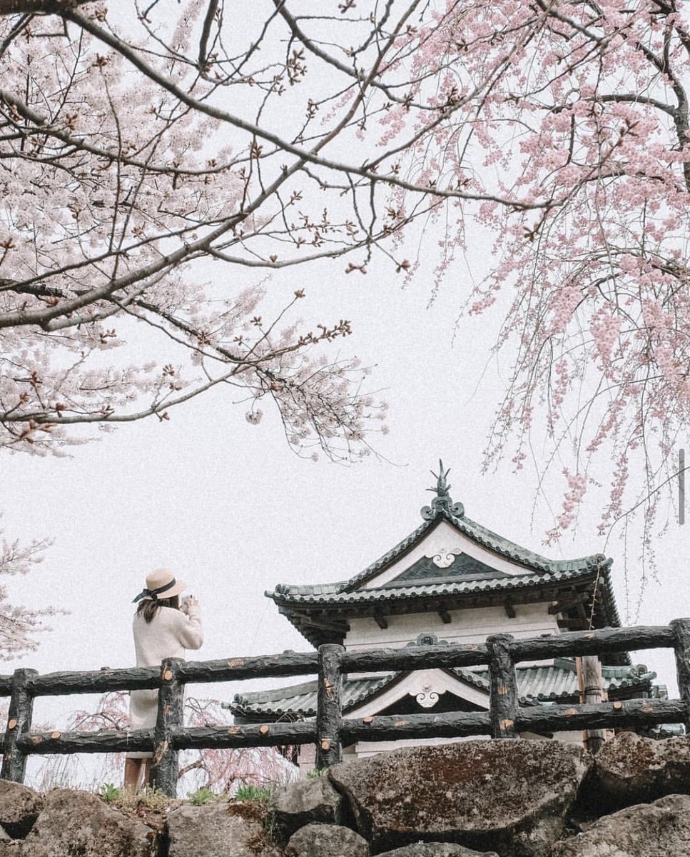 Even when Japan is full of revelers, few travelers make it north to the off-the-beaten-path Tohoku region. Located in the remote Aomori prefecture, Hirosaki Castle is one of the only castles in Japan that was not rebuilt in the modern era.🌸📷: @ployslittleatlas