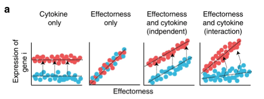 We modelled how effectorness modulates gene expression in response to cytokine: (i) by a cytokine irrespective of effectorness, (ii) as a function of effectorness irrespective of the cytokine; by effectorness and cytokine-stimulation acting (iii) independently or (iv) jointly