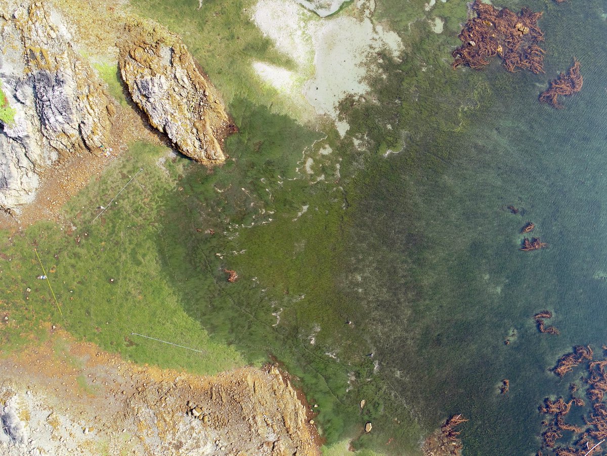 HakaiInstitute's tweet photo. [Job Posting]

@HakaiGeospatial is hiring a Junior Geomatics Technician for a 4 to 6 month contract to help with marine habitat mapping

https://t.co/nRGXTdNNz3 https://t.co/d5ujdKTEqV