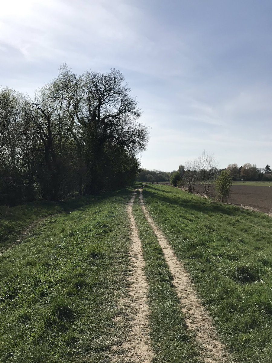 kajinewc's tweet image. Never mind orienteering is cancelled, you can still run around in your @Eborienteers T-shirt so long as you are maintaining your social distancing!! #running #lockdownphys #orienteering #StayHomeStayActive #StayActive