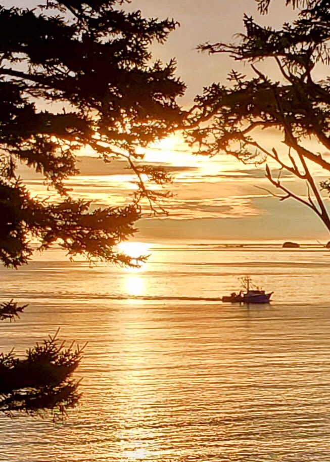 LiliPrice3's tweet photo. @nomadicmatt Spruce Cape.... Kodiak Island, Alaska https://t.co/JvMhQH2Vxm