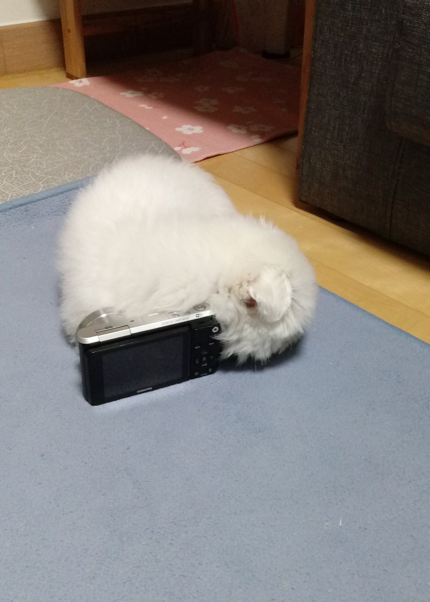 충전이 막 끝난 카메라가 좀 따뜻하긴하지