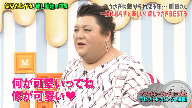 激かわウサギ ツンデレハリネズミ おしゃべりインコ 気分が上がる癒し動物総集編 マツコの知らない世界 Togetter