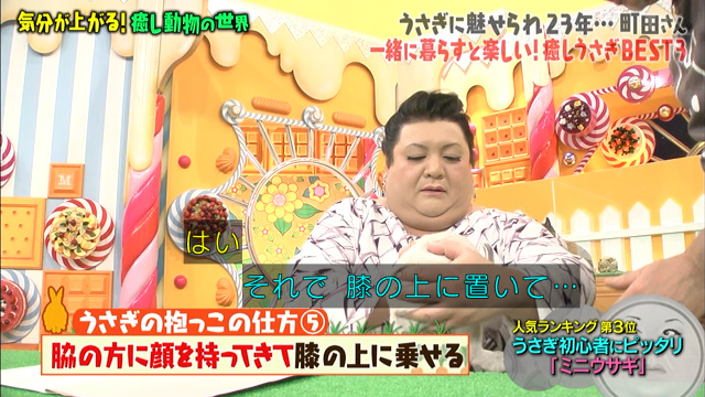 激かわウサギ ツンデレハリネズミ おしゃべりインコ 気分が上がる癒し動物総集編 マツコの知らない世界 Togetter