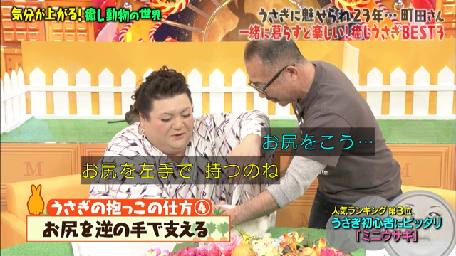 激かわウサギ ツンデレハリネズミ おしゃべりインコ 気分が上がる癒し動物総集編 マツコの知らない世界 Togetter