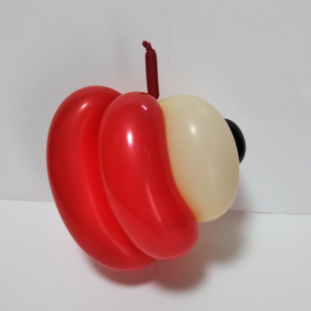 kjugbal's tweet photo. りんご（切り口）
apple（cross section）
以前より簡単に‥‥‥
#りんご #リンゴ #林檎 #断面 #切り口 #バルーン #バルーンアート #kagoshima_art #Apple #crosssection #cutend #cutsection #balloon #balloonart #balloontwisting https://t.co/iEbtOHf3oV