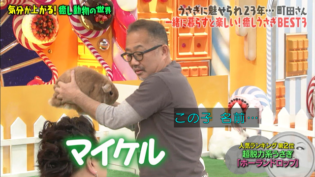 激かわウサギ ツンデレハリネズミ おしゃべりインコ 気分が上がる癒し動物総集編 マツコの知らない世界 Togetter