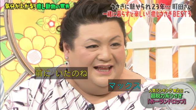 激かわウサギ ツンデレハリネズミ おしゃべりインコ 気分が上がる癒し動物総集編 マツコの知らない世界 Togetter