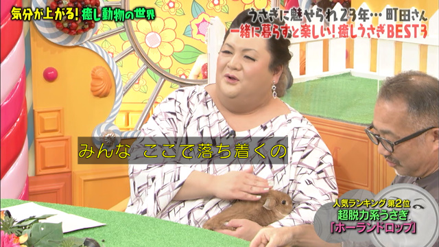 激かわウサギ ツンデレハリネズミ おしゃべりインコ 気分が上がる癒し動物総集編 マツコの知らない世界 Togetter