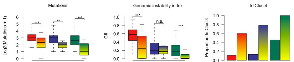 One consistent feature in claudin-low tumors was genomic stability (CNAs and mutations). Viewed together with the concept of cellular plasticity and the IntClust subtypes, our conceptual understanding of claudin-low started falling into place (see article for further discussion).