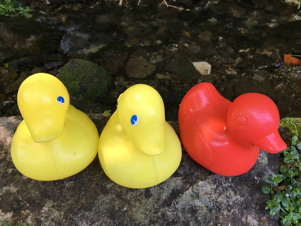Instead of our normal Easter charity duck race we shall be running a virtual duck race with all proceeds going the NHS <a href="/Mill_House__Inn/">The Mill House Inn</a> tiny.cc/t5c0mz