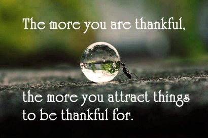 PositivePrayers's tweet photo. @JoelOsteen Be thankful and attract blessings!
#Thankfulness #Quotes https://t.co/H3xeMC24yX