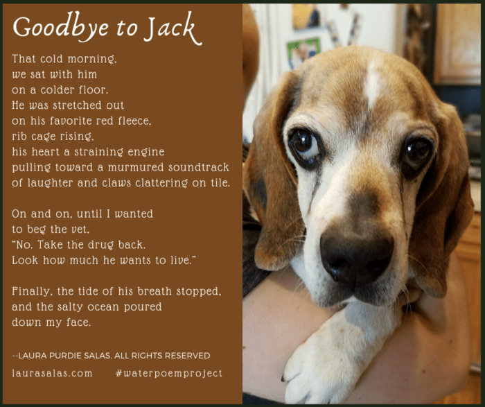 LauraPSalas's tweet photo. Goodbye to Jack - a #waterpoemproject #poem based on a painful memory. (#NationalPoetryMonth2020) @laurashovan https://t.co/HneyOqOU9b https://t.co/XrtP98xm5A