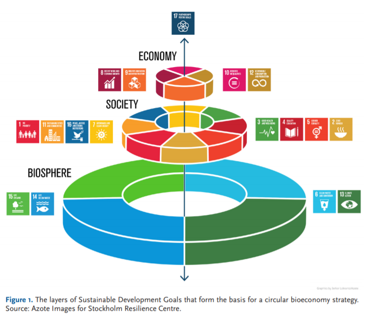 IEA Bioenergy tweet media