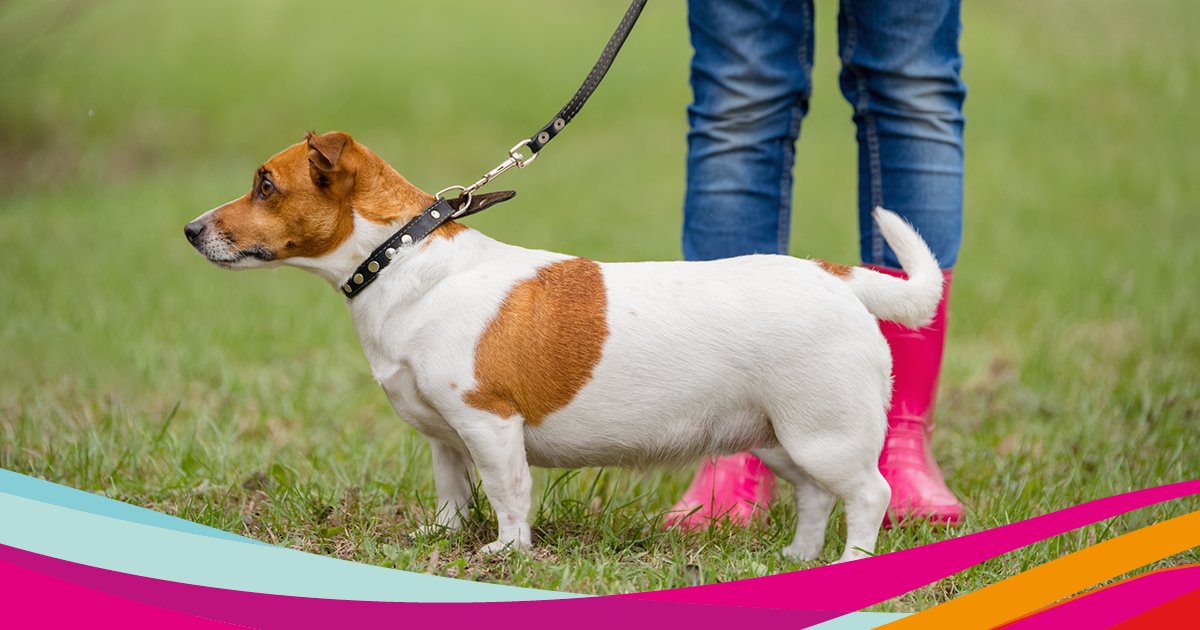 Bright&Beautiful HQ tweet media