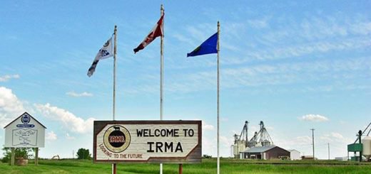 nielsonTSN1260's tweet image. 