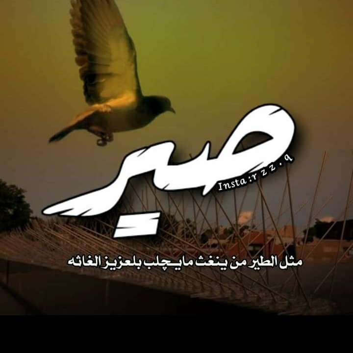 HassoniJasem's tweet photo. #صورة_ملف_شخصي_جديدة https://t.co/hZcz6YOHe6