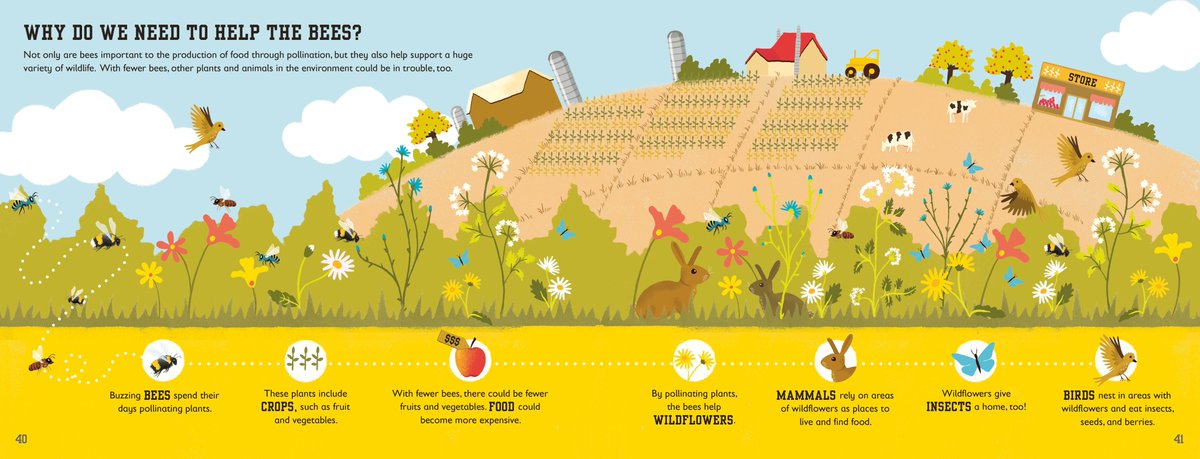 DKCanada's tweet photo. "This is a wonderfully written &amp; illustrated book about bees that teaches kids all about the importance of honeybees and how we can help them" The Bee Book by @CharlieFMilner is a hit with @cvegnad at Working Mommy Journal https://t.co/N55GT3K2Zo #bees #SavetheBees #BookConnectUs https://t.co/ntcdQ2Uo7w