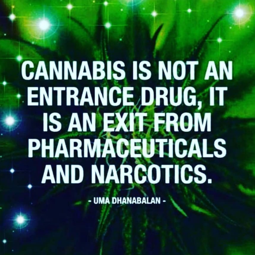 #CannabisCommunity #highalldayeveryday