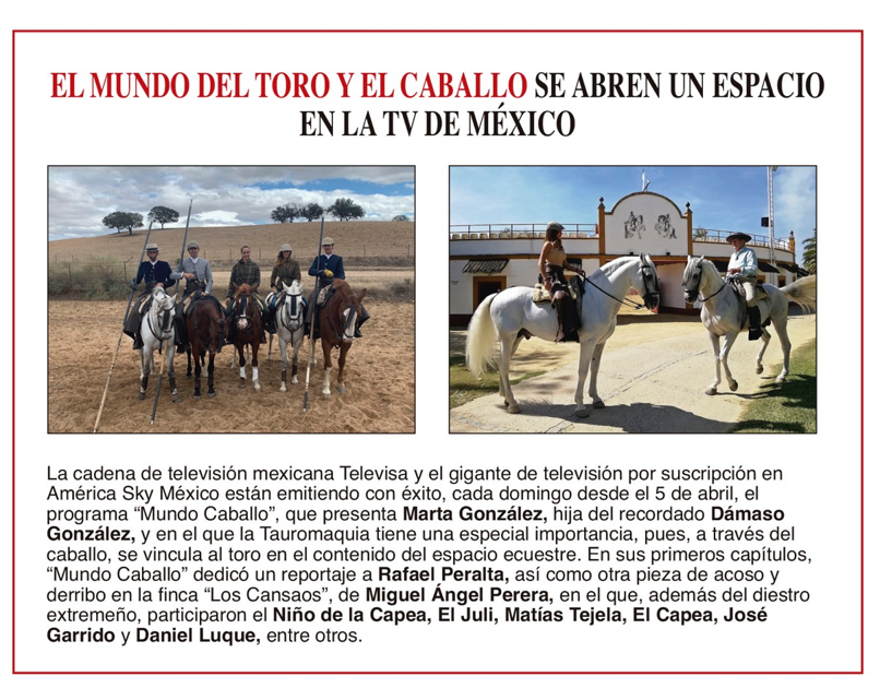 6TOROS6 (@revista6toros6) on Twitter photo 