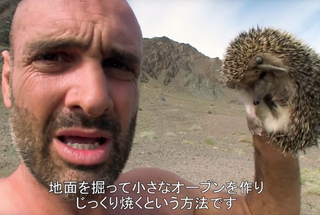 ディスカバリーチャンネル on X: 