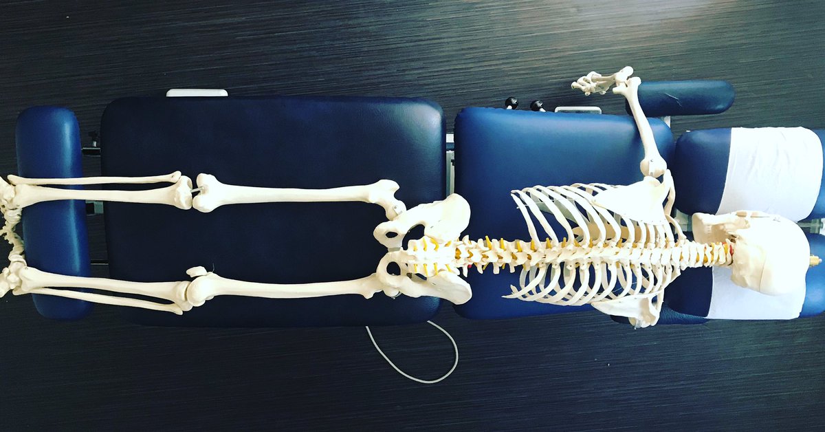 This is Bernard Bones who loves having #chiropractic #treatment,  but knows our clinic is not treating ‘face to face’ until we #FlattenTheCurve . He does know, as a current patient, he can always email the clinic for exercises and advice. Bernard is sensible. Be like Bernard.